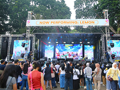 Daytime Street Carnival Performances