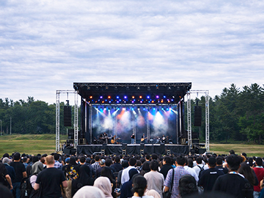 Large Music Festivals and Live Performances