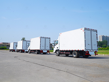 Enclosed Body Storage